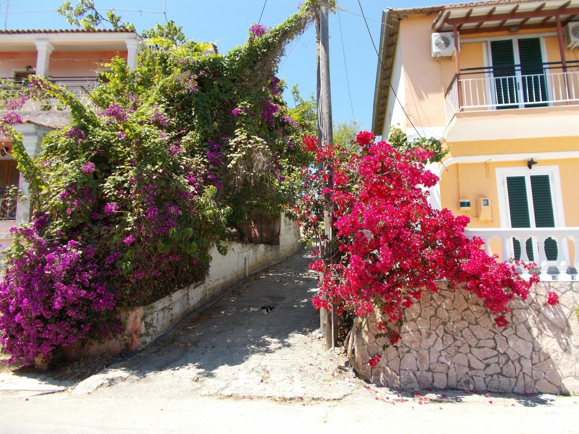 Kavos Panorama Complex Aparthotel Bagian luar foto